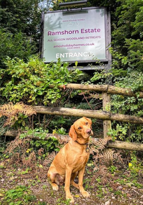 Padley; Woodland Lodge With Hot Tub For 2-4 In The Staffordshire Moorlands Oakamoor Eksteriør billede