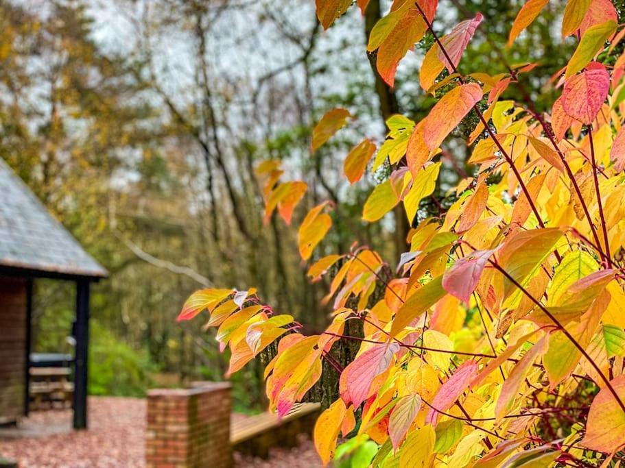 Padley; Woodland Lodge With Hot Tub For 2-4 In The Staffordshire Moorlands Oakamoor Eksteriør billede