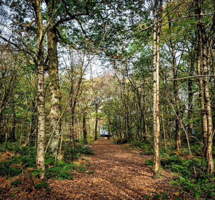 Padley; Woodland Lodge With Hot Tub For 2-4 In The Staffordshire Moorlands Oakamoor Eksteriør billede