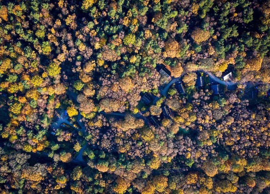 Padley; Woodland Lodge With Hot Tub For 2-4 In The Staffordshire Moorlands Oakamoor Eksteriør billede